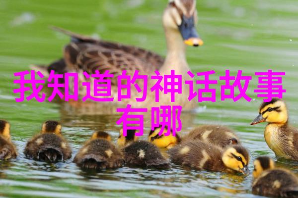 2023年全球最大的水族馆出现鱼跃龙门奇观一群彩色金鱼齐刷刷跃出水面形成人字形队列