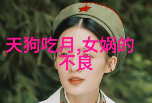 五代十国灭亡后明朝佥妻制度揭秘帝国内的女性权力游戏