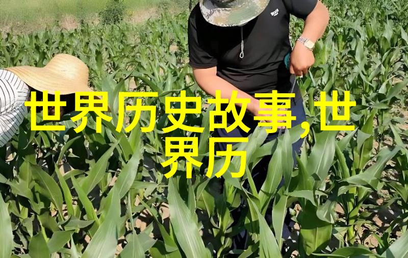 故宫的秘密花园揭秘乾隆帝私藏之地