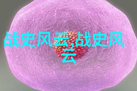 纳牙阿明朝名医的沉思之旅