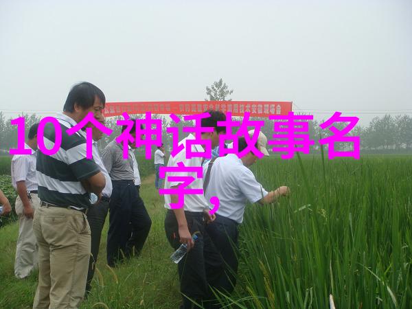 多妻共枕一夫多妻制下的床上秘密