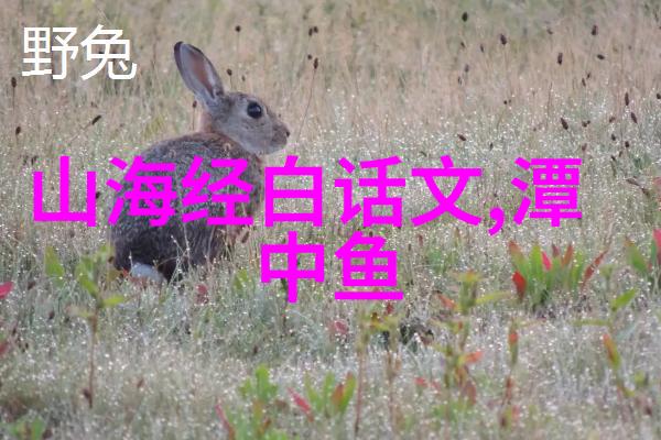 历史上的伟大建造者秦始皇长城的故事