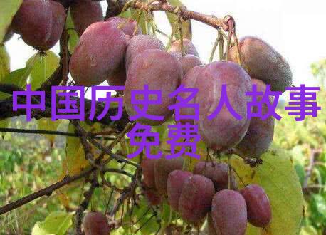 曹操之路曹操的征途与成长