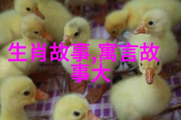 远方的智者阿凡提的幻想之旅