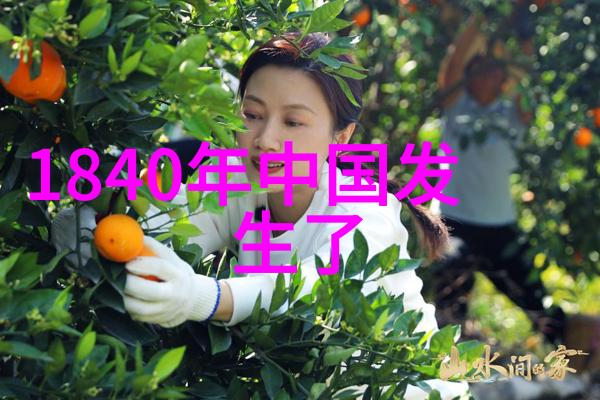 东方神话中的凤凰火焰重生的传说