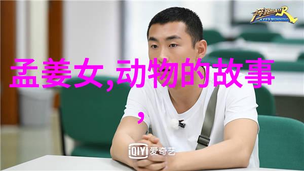 晋朝后面一个朝代我怎么知道北魏的故事比晋家还要精彩