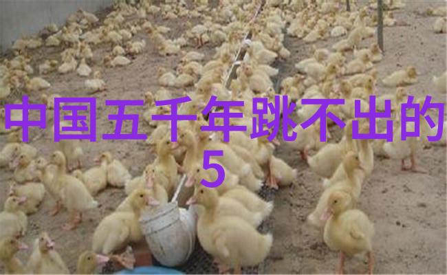 河南豫剧王华买爹全集中的高桂枝自然之声的曲剧演员