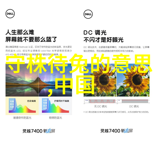 张骞出使西域爱的征途