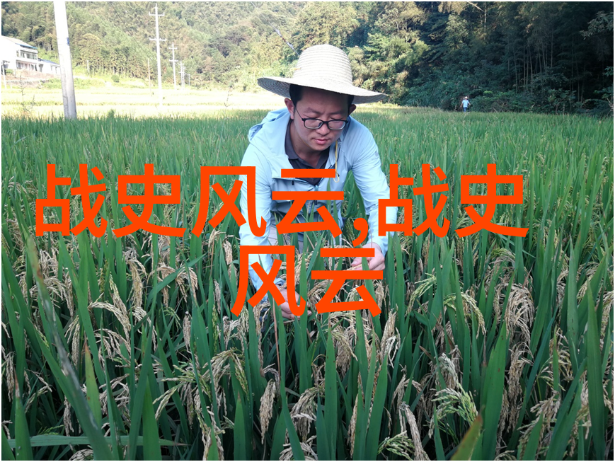 唐朝风云李白与杜甫的诗行对比探究