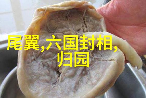 如何解读那些曾经将中文字母与希腊字母进行比较的人们所基于的观点呢