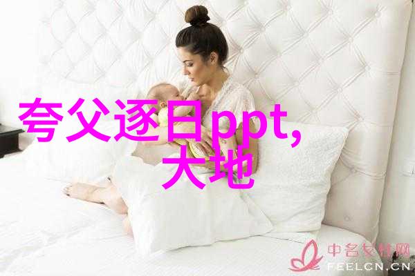 包公断案奇踪宋朝名宦包拯的智慧判决