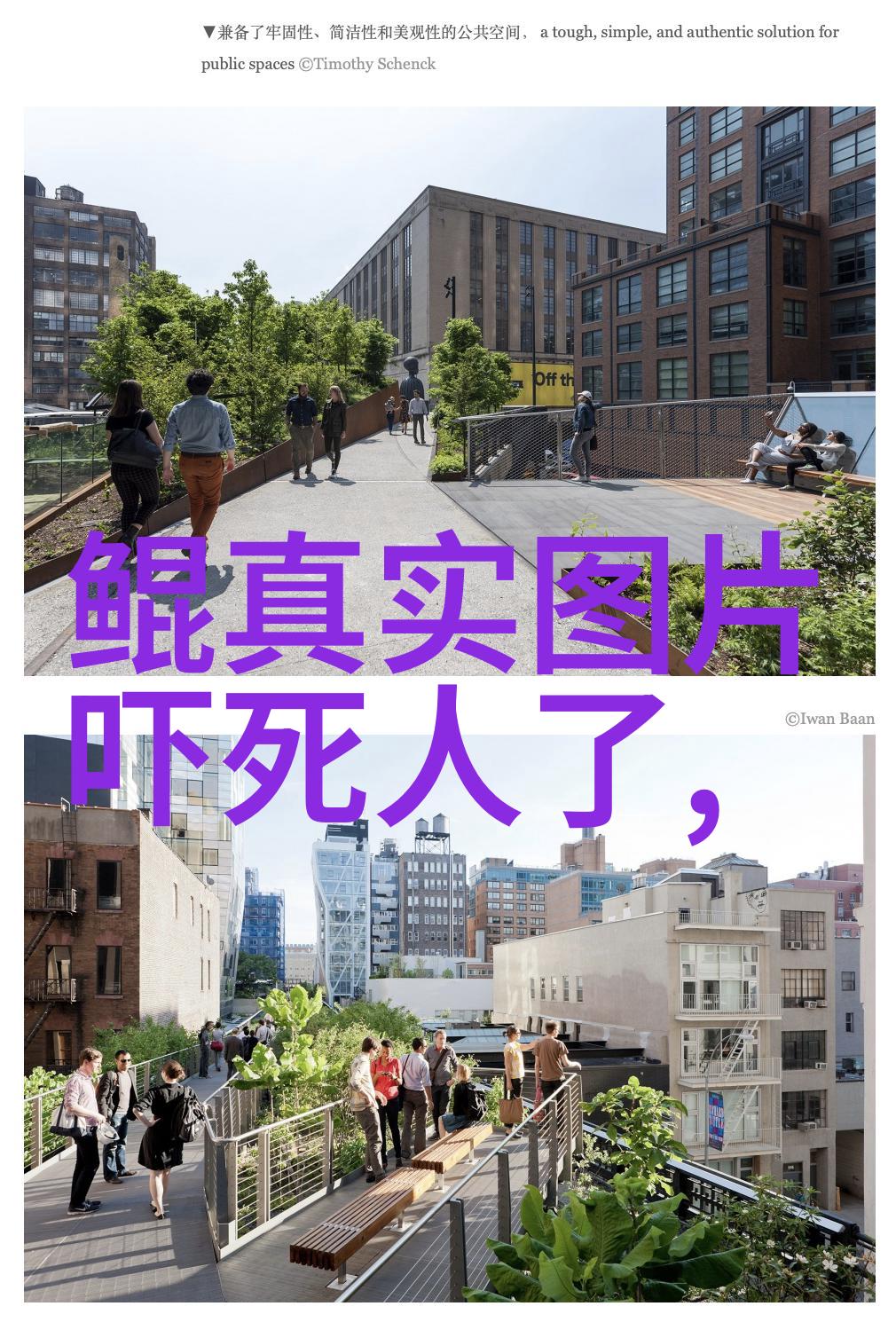 古代神话故事四年级镜中魔屋的秘密