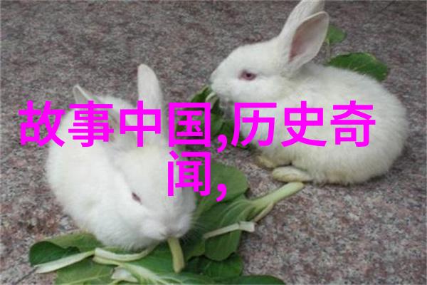 2023年奇闻趣事大全集这些未解之谜能让你大开眼界