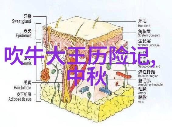 古希腊罗马神话故事我和宙斯的奇遇一场惊心动魄的奥林匹斯之旅
