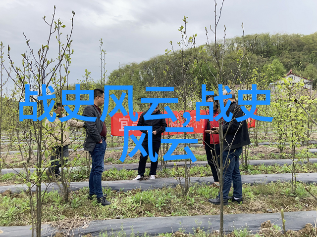 传统文化典故故事大全古代民间故事集