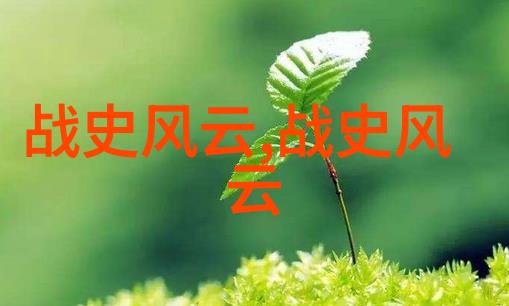 梦回红楼探索中国古典文学中的宝藏
