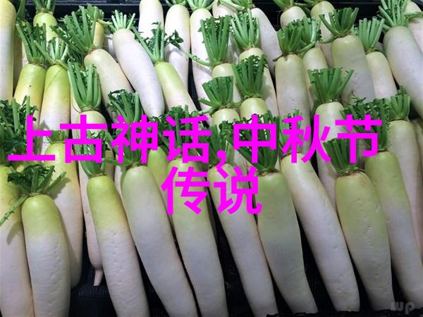 秘密之门揭开上下五千年真实面纱