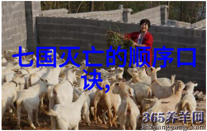 激发创造力培养品德为何要在小学阶段教授这些英雄传说