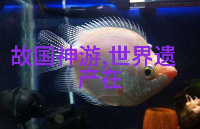 元朝的都市规划与城市建设