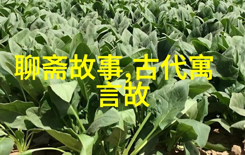 美国短跑运动员惊险过关速度与激情的美式挑战