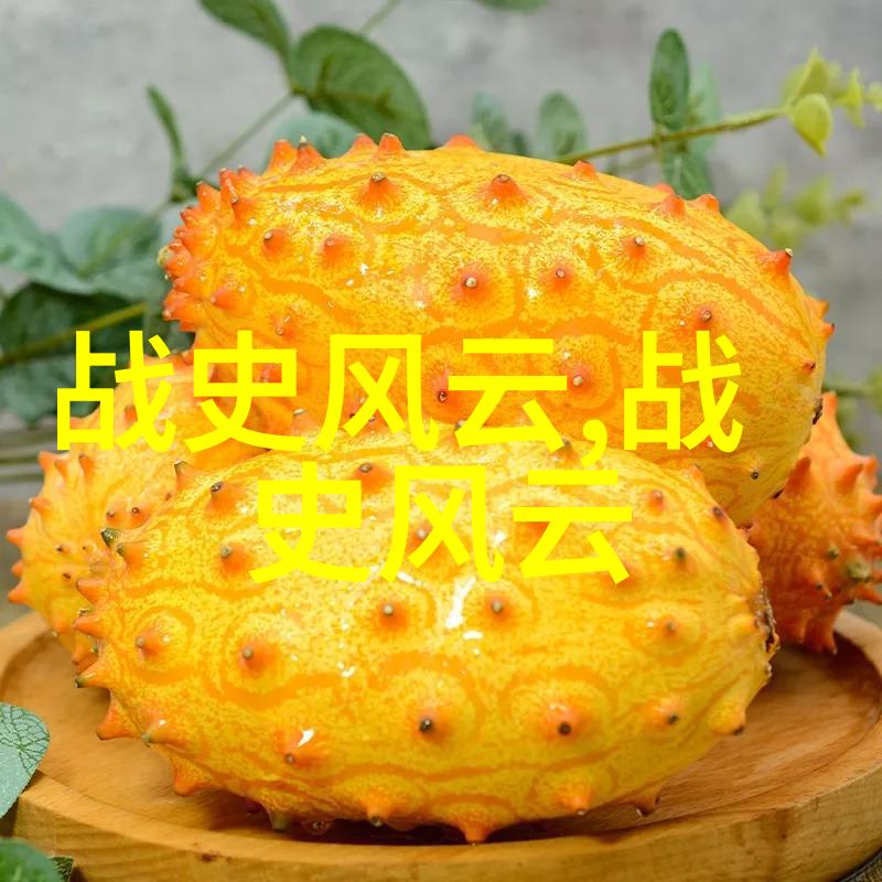 元数据启航国学数典论坛