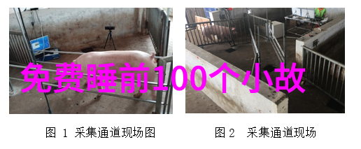 幕后黑手揭秘70年代制作老恐怖片背后的故事人