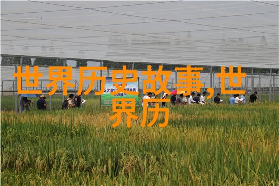宫中秘密揭开故宫那些未解之谜