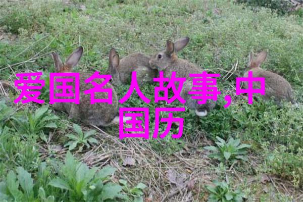 战史风云古代战争的智谋与勇气