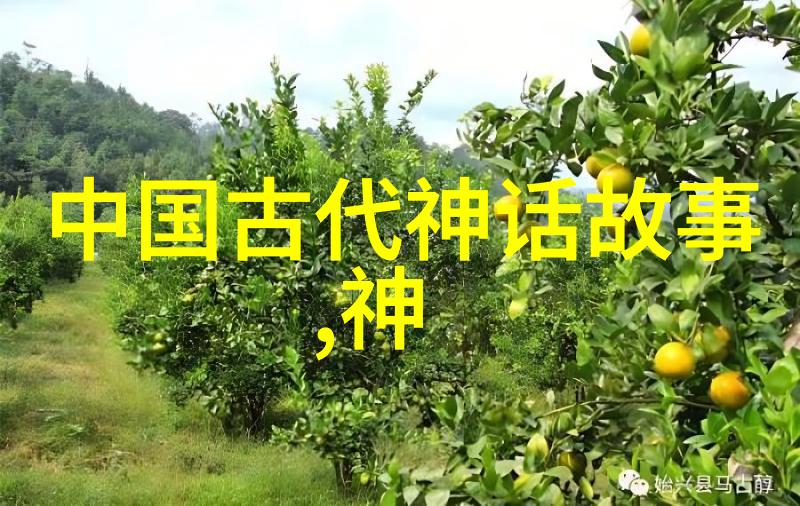 王佩瑜结婚了吗包丹庭的京剧梦想与票友之旅