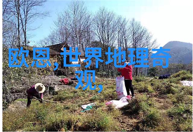 刑的组词反复提及朱福