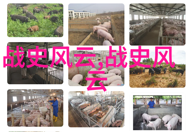 京剧中有几个重要角色就如同古代四大发明一样各具特色共同推动了艺术的发展