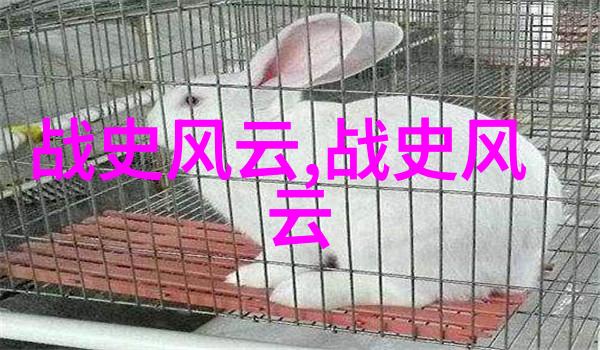 适合小学生的神话故事我来告诉你一个超级有趣的关于太阳和月亮的秘密