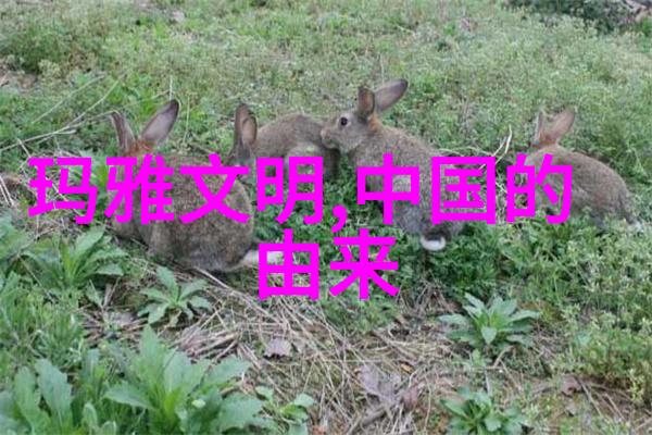 吴琼黄梅戏中的珠玉一格