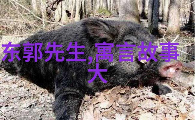 古韵悠扬翠屏山下的织女故事