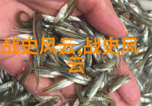 二战时期的著名故事 - 雪崩救赎拉斐尔莱比奇与意外英雄的故事
