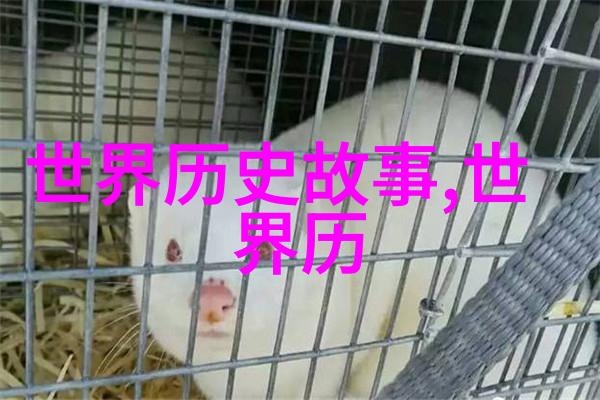 二战时期的著名故事我亲历的长城保卫战