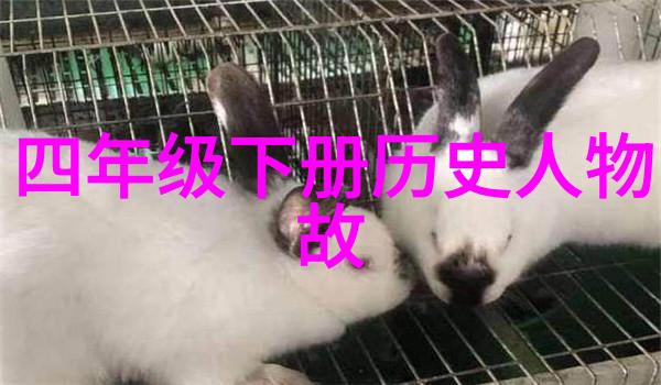 一分钟历史罗马帝国的末日