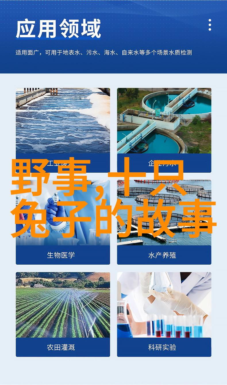白蛇传与绿野仙踪民间故事中的道教元素分析