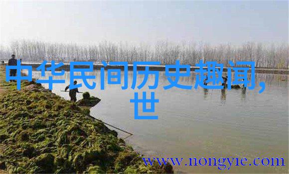 温柔馨香的秘密世界探索未删减版阅读的魅力