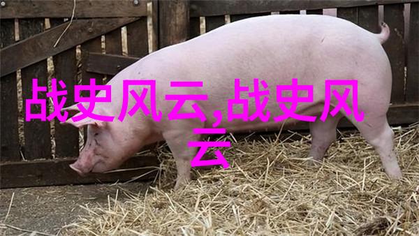 中国历史上的科技创新从造纸术到火药的发展