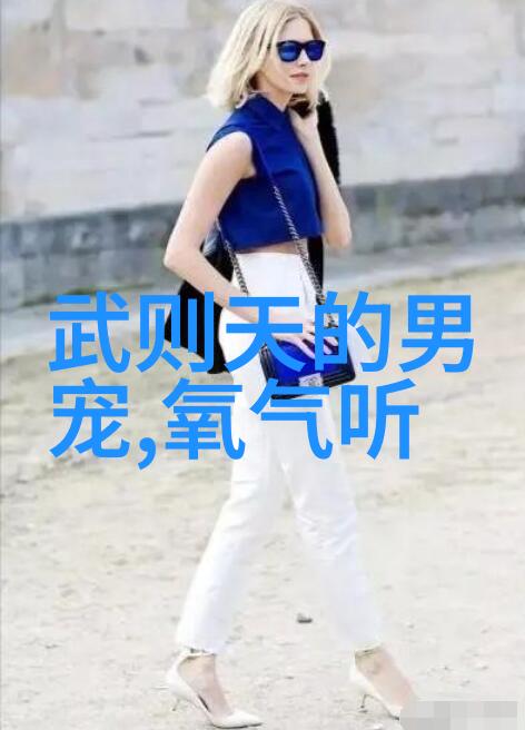 明朝帝王的岁月寻找那个最平和的皇帝