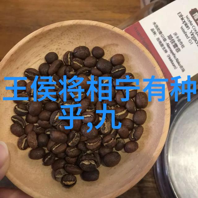 那人那村那傻子荒野中的智者与天赋