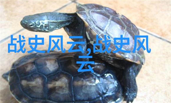 中国古代四大发明中国的科技奇迹