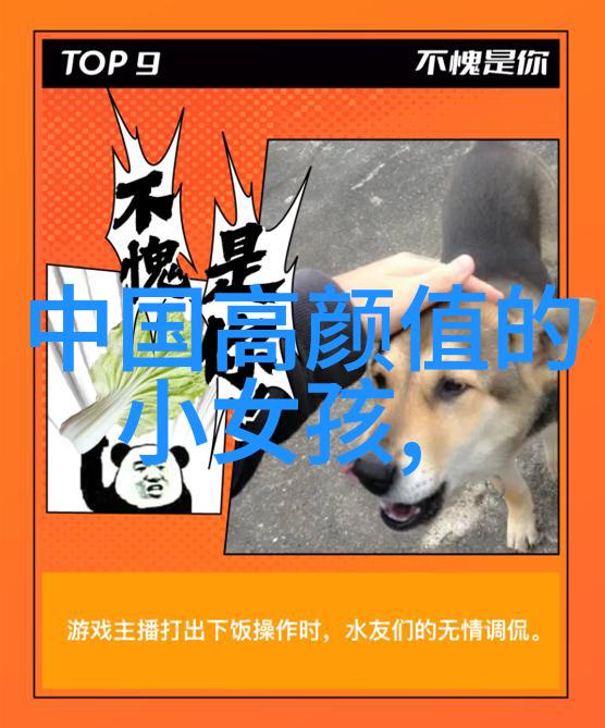 朝代纷飞探索历史的长河