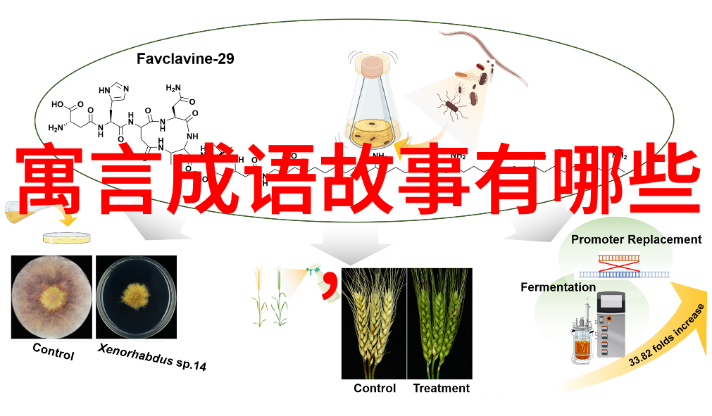 神话故事大全50字以下-天地精华跨文化神话探秘