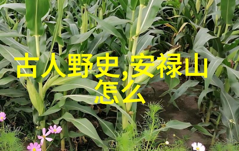 民间故事驼背老老与香蕉崽崽的传奇10个历史成语背后的故事简介