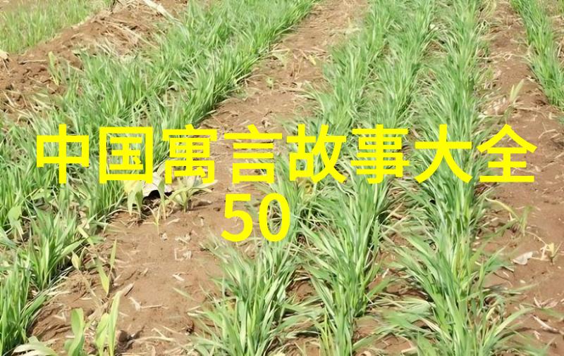 居里夫人物理学界光荣的人类第一位诺贝尔奖得主