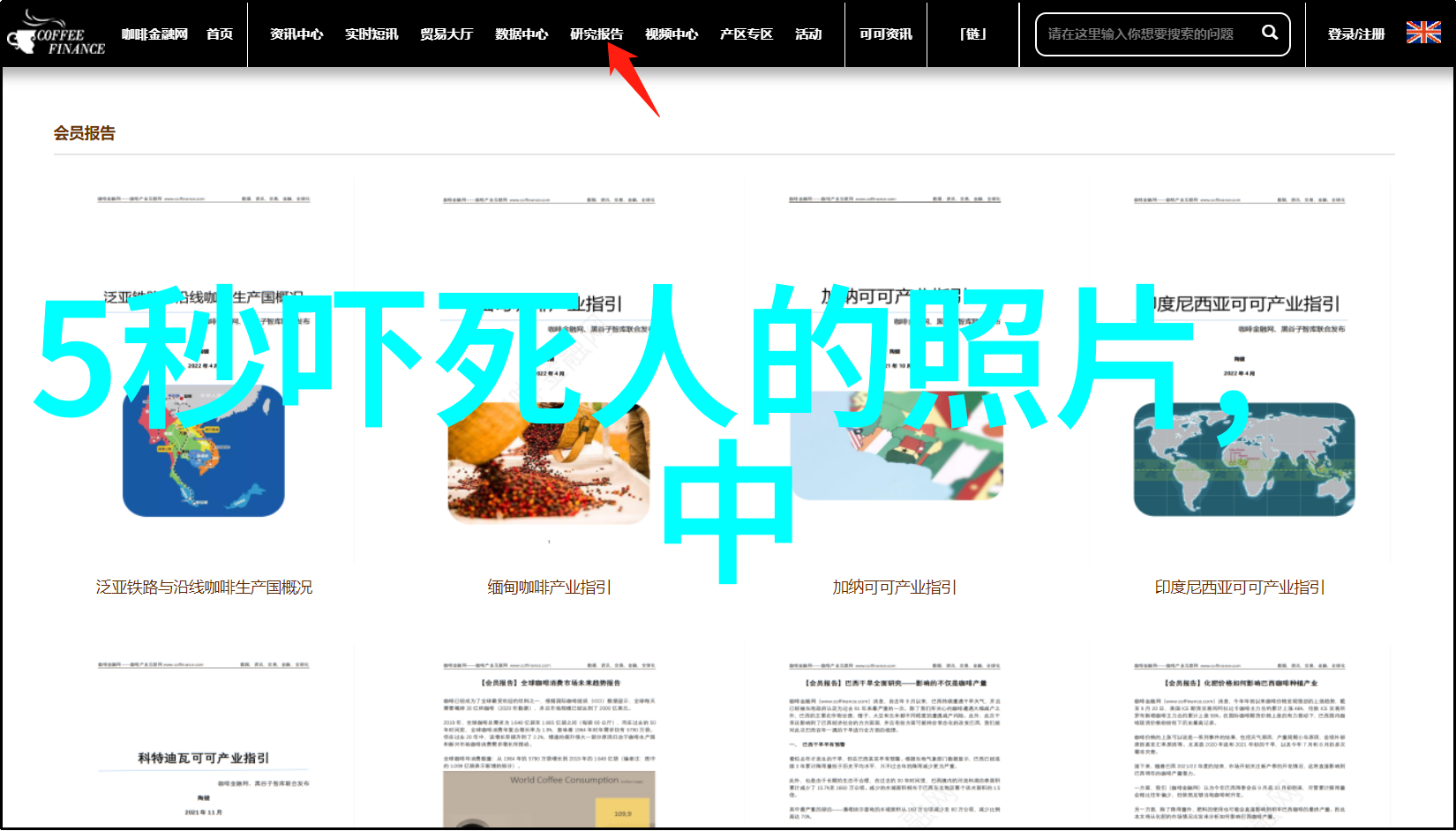 神秘探索-揭秘古代龙宫谁将掏出宝藏的龙具