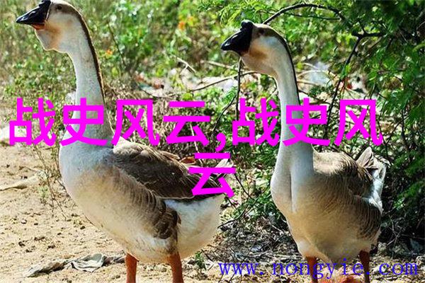 探秘古今揭秘历史故事的迷人篇章