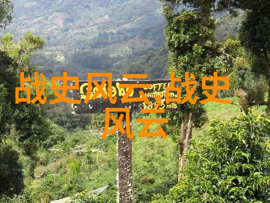 神秘的玉石俑揭开中国先进科技背后的故事
